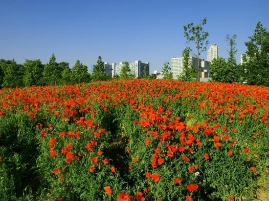 Sangdong Lake Park